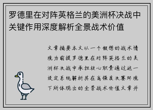 罗德里在对阵英格兰的美洲杯决战中关键作用深度解析全景战术价值